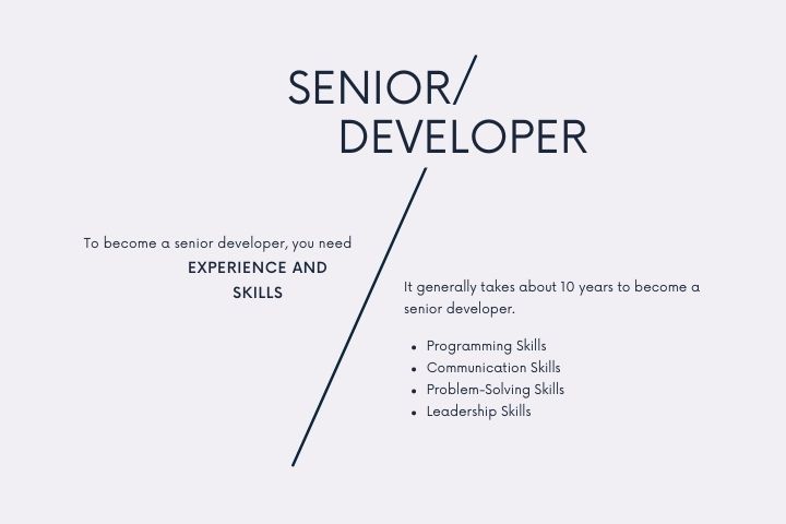 How Many Years Does It Take to Become a Senior Developer?